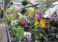 /album/gallery/foto-garden-002-jpg/